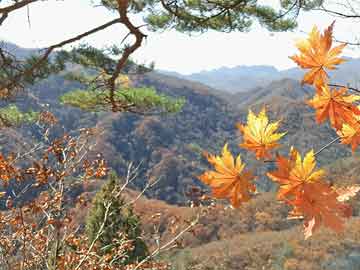 魚山島神秘之旅，深度攻略，探索島嶼魅力