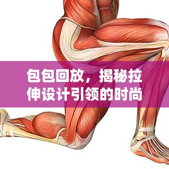 第3638頁