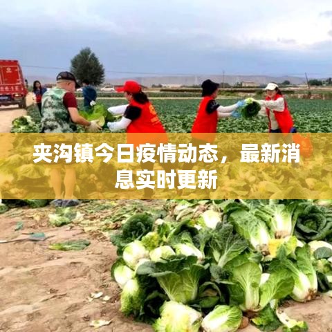 新聞動態(tài) 第1989頁