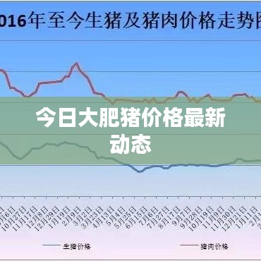 今日大肥豬價(jià)格最新動(dòng)態(tài)