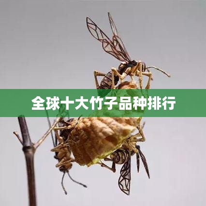 新聞動態(tài) 第1983頁