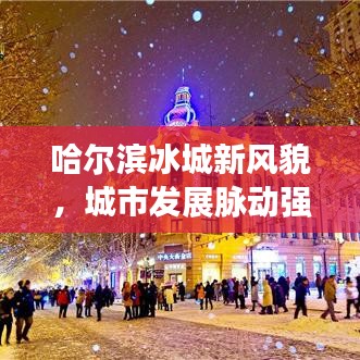 哈爾濱冰城新風貌，城市發(fā)展脈動強勁