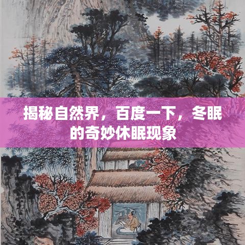 揭秘自然界，百度一下，冬眠的奇妙休眠現(xiàn)象
