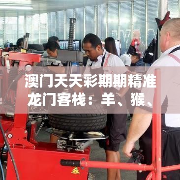 澳門天天彩期期精準(zhǔn)龍門客棧：羊、猴、狗、馬，免費公開