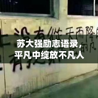 蘇大強(qiáng)勵(lì)志語錄，平凡中綻放不凡人生光芒
