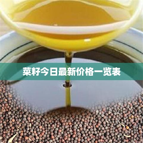 菜籽今日最新價格一覽表