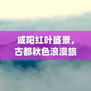 咸陽(yáng)紅葉盛景，古都秋色浪漫旅游攻略