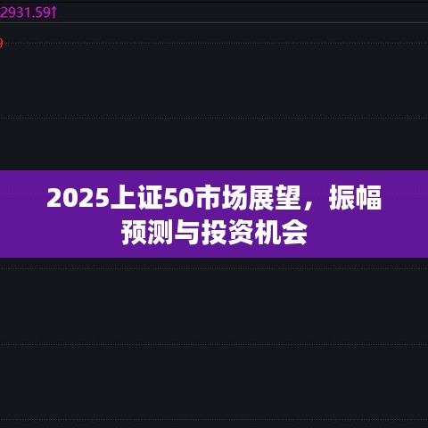 2025上證50市場(chǎng)展望，振幅預(yù)測(cè)與投資機(jī)會(huì)