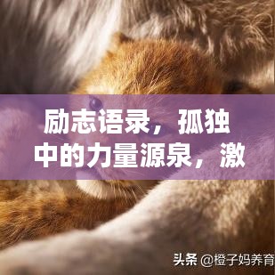 勵(lì)志語(yǔ)錄，孤獨(dú)中的力量源泉，激發(fā)無(wú)盡潛能