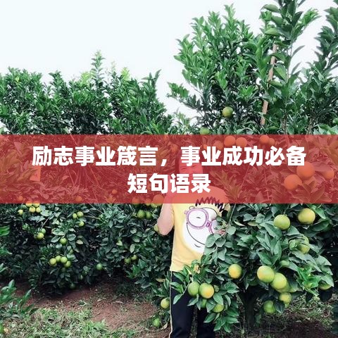 勵志事業(yè)箴言，事業(yè)成功必備短句語錄