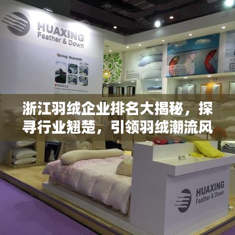 浙江羽絨企業(yè)排名大揭秘，探尋行業(yè)翹楚，引領(lǐng)羽絨潮流風(fēng)向標(biāo)！