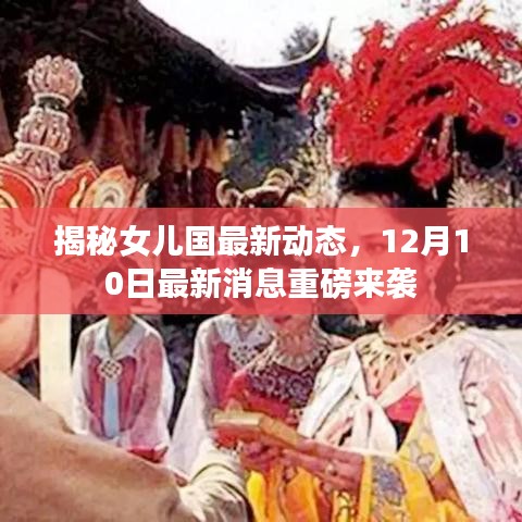 鳥驚魚駭 第4頁