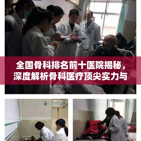 鳳凰于飛 第4頁