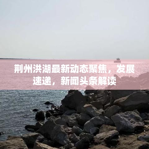荊州洪湖最新動態(tài)聚焦，發(fā)展速遞，新聞頭條解讀