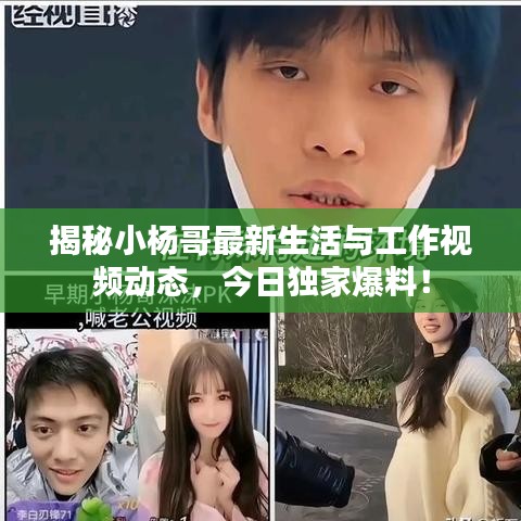 揭秘小楊哥最新生活與工作視頻動態(tài)，今日獨(dú)家爆料！