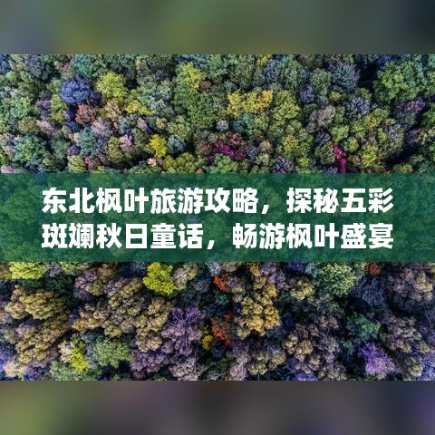 東北楓葉旅游攻略，探秘五彩斑斕秋日童話，暢游楓葉盛宴