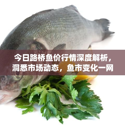 今日路橋魚價(jià)行情深度解析，洞悉市場動態(tài)，魚市變化一網(wǎng)打盡！