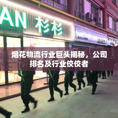煙花物流行業(yè)巨頭揭秘，公司排名及行業(yè)佼佼者