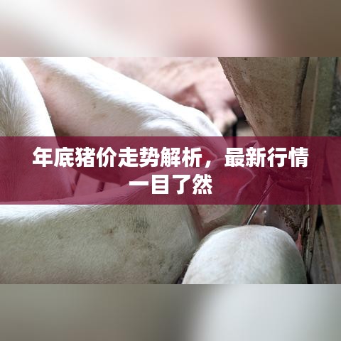 admin 第6頁