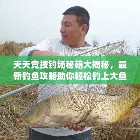 天天競技釣場秘籍大揭秘，最新釣魚攻略助你輕松釣上大魚！