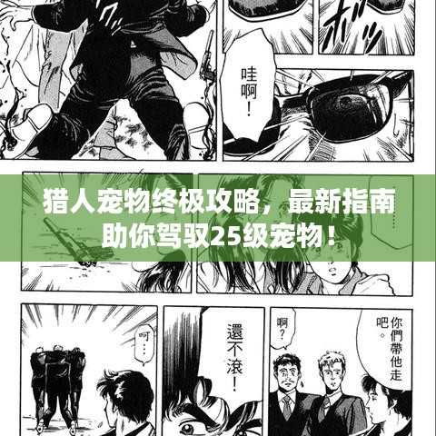 觀(guān)往知來(lái) 第4頁(yè)