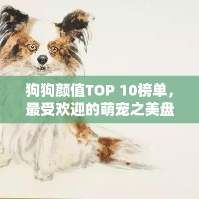 富貴榮華 第3頁
