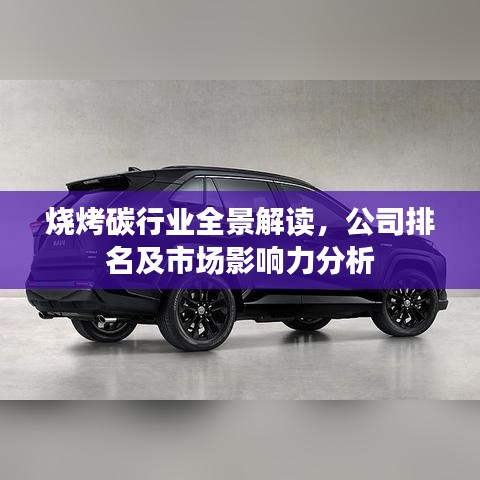 燒烤碳行業(yè)全景解讀，公司排名及市場影響力分析
