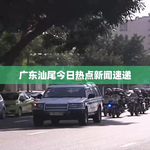 廣東汕尾今日熱點新聞速遞