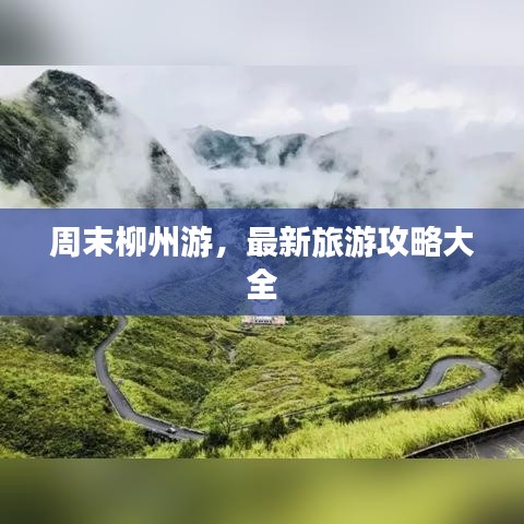 獨(dú)出新裁 第4頁