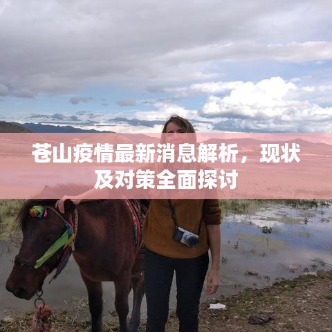蒼山疫情最新消息解析，現(xiàn)狀及對(duì)策全面探討
