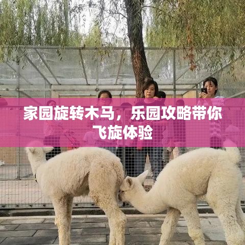 比翼鳥 第3頁