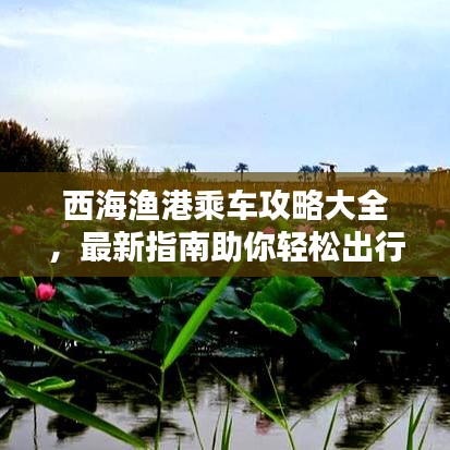 西海漁港乘車(chē)攻略大全，最新指南助你輕松出行！