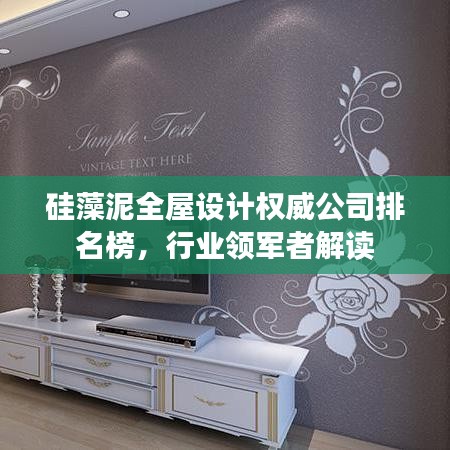 硅藻泥全屋設(shè)計(jì)權(quán)威公司排名榜，行業(yè)領(lǐng)軍者解讀