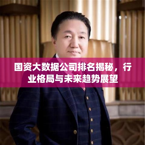 國資大數(shù)據(jù)公司排名揭秘，行業(yè)格局與未來趨勢展望