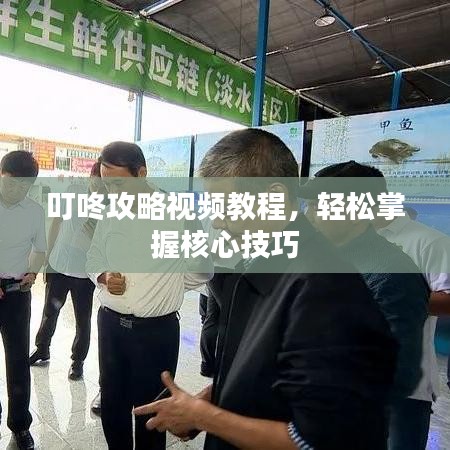 叮咚攻略視頻教程，輕松掌握核心技巧