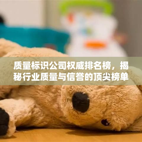 質(zhì)量標(biāo)識(shí)公司權(quán)威排名榜，揭秘行業(yè)質(zhì)量與信譽(yù)的頂尖榜單