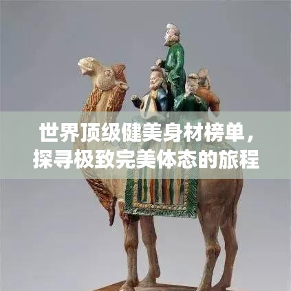 世界頂級(jí)健美身材榜單，探尋極致完美體態(tài)的旅程