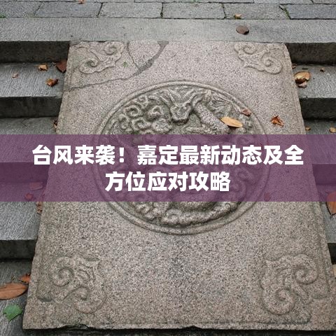臺風(fēng)來襲！嘉定最新動態(tài)及全方位應(yīng)對攻略