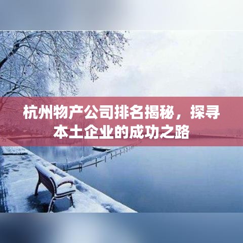 杭州物產公司排名揭秘，探尋本土企業(yè)的成功之路
