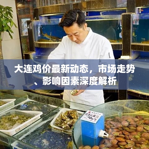 大連雞價(jià)最新動(dòng)態(tài)，市場(chǎng)走勢(shì)、影響因素深度解析