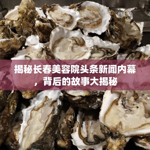 揭秘長春美容院頭條新聞內(nèi)幕，背后的故事大揭秘