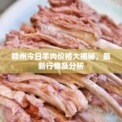贛州今日羊肉價(jià)格大揭秘，最新行情及分析