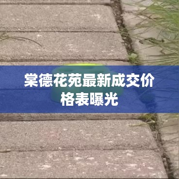 棠德花苑最新成交價(jià)格表曝光