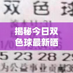 揭秘今日雙色球最新曬單，彩票背后的秘密大揭秘！