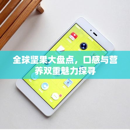 全球堅果大盤點，口感與營養(yǎng)雙重魅力探尋