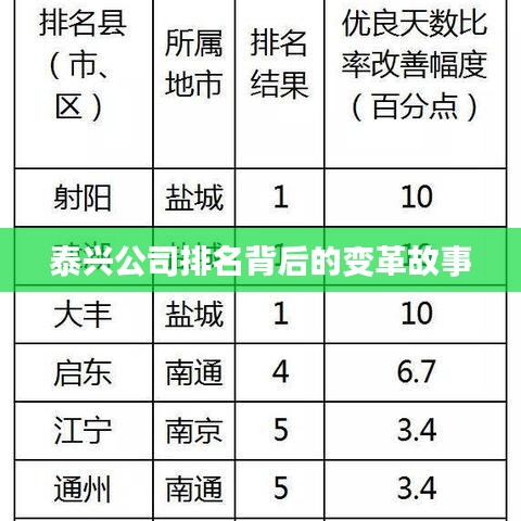 泰興公司排名背后的變革故事