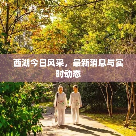 西湖今日風(fēng)采，最新消息與實時動態(tài)