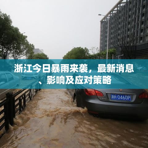 浙江今日暴雨來(lái)襲，最新消息、影響及應(yīng)對(duì)策略
