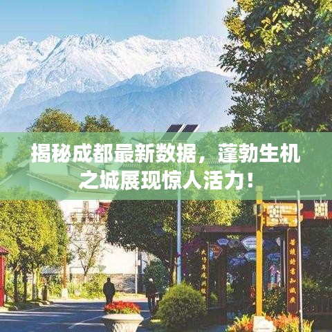 揭秘成都最新數(shù)據(jù)，蓬勃生機(jī)之城展現(xiàn)驚人活力！