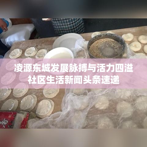 凌源東城發(fā)展脈搏與活力四溢社區(qū)生活新聞頭條速遞